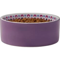 Frisco Kaleidoscope Pattern Non-skid Ceramic Dog & Cat Bowl 9 Frisco Kaleidoscope Pattern Non-skid Ceramic Dog & Cat Bowl -Pet Cat Supplies Store 256090 PT3. AC SS1800 V1615311698