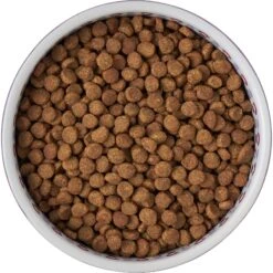 Frisco Kaleidoscope Pattern Non-skid Ceramic Dog & Cat Bowl 11 Frisco Kaleidoscope Pattern Non-skid Ceramic Dog & Cat Bowl -Pet Cat Supplies Store 256090 PT5. AC SS1800 V1615312887