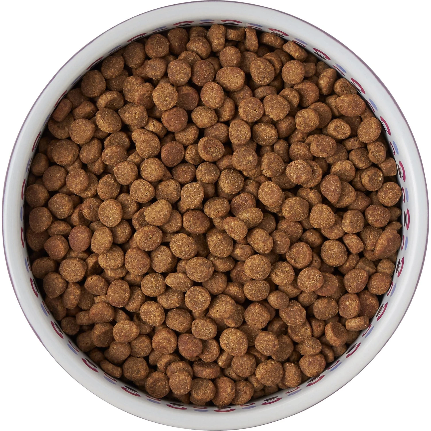 Frisco Kaleidoscope Pattern Non-skid Ceramic Dog & Cat Bowl 6 Frisco Kaleidoscope Pattern Non-skid Ceramic Dog & Cat Bowl - Image 6