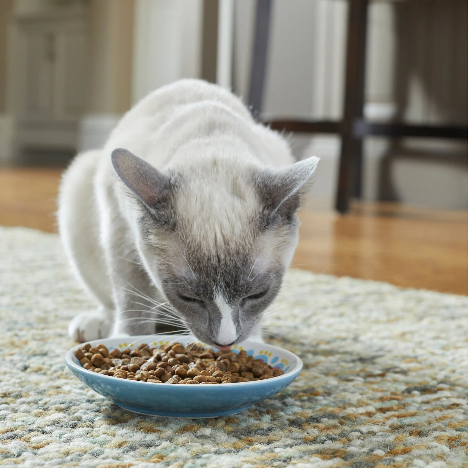 Frisco Kaleidoscope Pattern Non-skid Ceramic Cat Dish 3 Frisco Kaleidoscope Pattern Non-skid Ceramic Cat Dish - Image 3