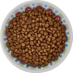 Frisco Kaleidoscope Pattern Non-skid Ceramic Cat Dish 11 Frisco Kaleidoscope Pattern Non-skid Ceramic Cat Dish -Pet Cat Supplies Store 256092 PT5. AC SS1800 V1617042691