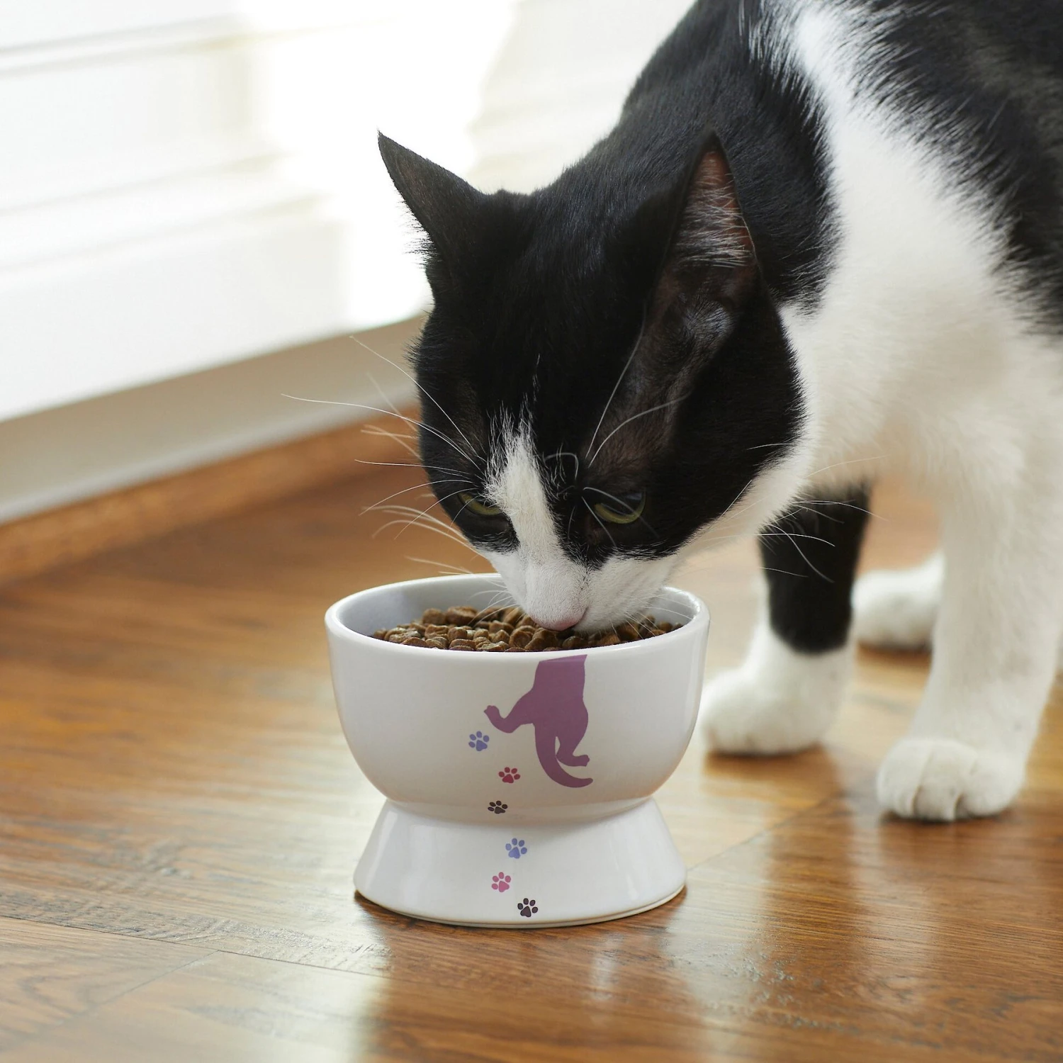 Frisco Cat Print Non-skid Elevated Ceramic Cat Bowl, Short 3 Frisco Cat Print Non-skid Elevated Ceramic Cat Bowl, Short - Image 3