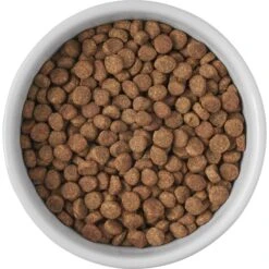 Frisco Cat Print Non-skid Elevated Ceramic Cat Bowl, Short 10 Frisco Cat Print Non-skid Elevated Ceramic Cat Bowl, Short -Pet Cat Supplies Store 256096 PT4. AC SS1800 V1616522576