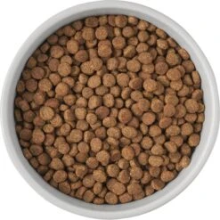 Frisco Cat Print Non-Skid Elevated Ceramic Cat Bowl, Tall 10 Frisco Cat Print Non-Skid Elevated Ceramic Cat Bowl, Tall -Pet Cat Supplies Store 256099 PT4. AC SS1800 V1616522538