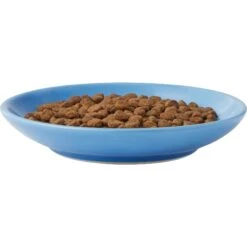 Frisco Cat Face Non-skid Ceramic Cat Dish, Blue -Pet Cat Supplies Store 256101 PT4. AC SS1800 V1617130592