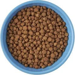 Frisco Cat Face Non-skid Ceramic Cat Bowl, Blue -Pet Cat Supplies Store 256103 PT5. AC SS1800 V1615312900