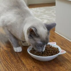 Frisco Cat Face Non-skid Ceramic Cat Dish -Pet Cat Supplies Store 256105 PT2. AC SS1800 V1615310882