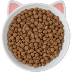 Frisco Cat Face Non-skid Ceramic Cat Dish -Pet Cat Supplies Store 256105 PT5. AC SS1800 V1615321295
