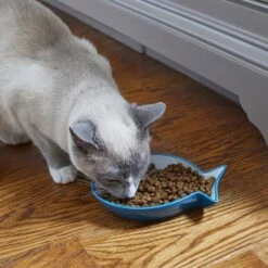 Frisco Fish Shaped Non-skid Ceramic Cat Dish 10 Frisco Fish Shaped Non-skid Ceramic Cat Dish -Pet Cat Supplies Store 256109 PT3. AC SS1800 V1617196297