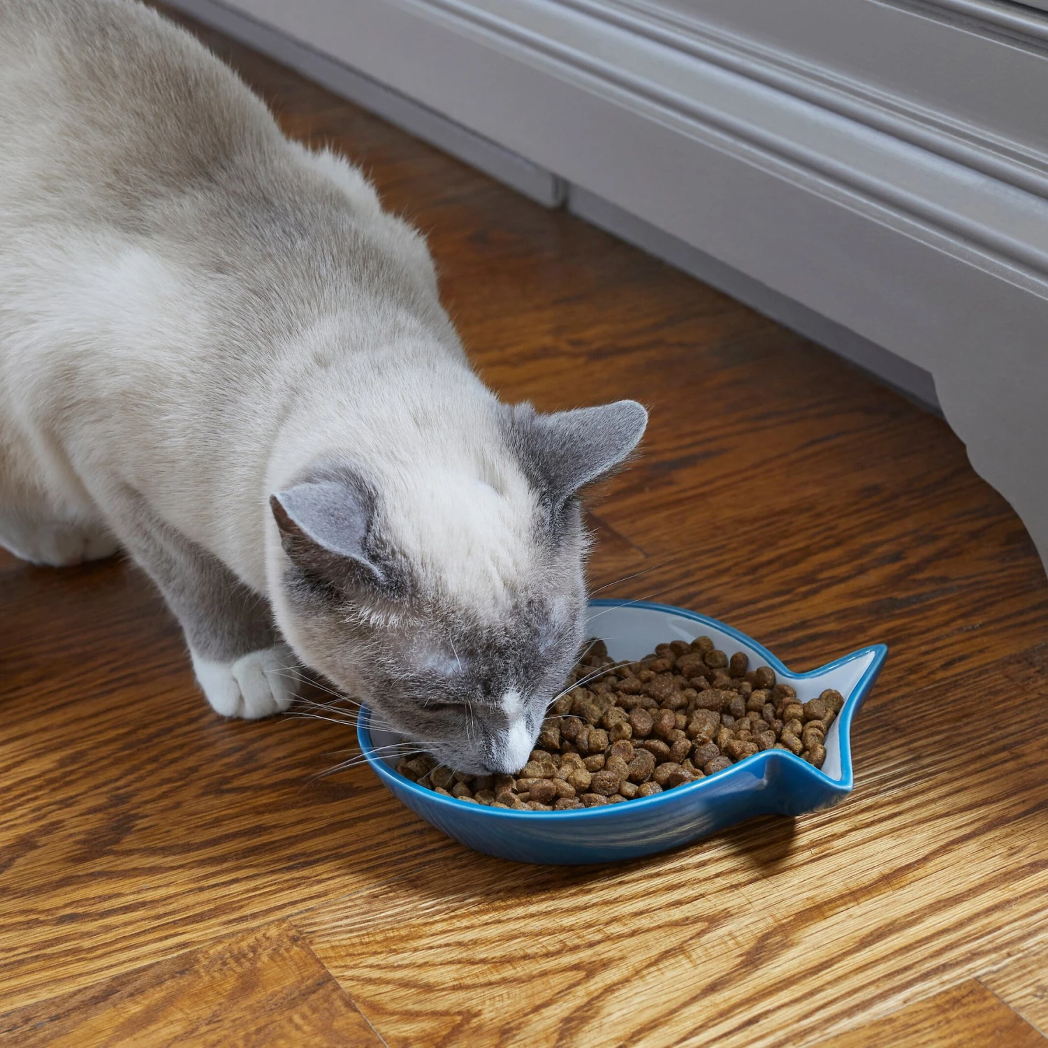 Frisco Fish Shaped Non-skid Ceramic Cat Dish 4 Frisco Fish Shaped Non-skid Ceramic Cat Dish - Image 4