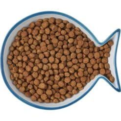 Frisco Fish Shaped Non-skid Ceramic Cat Dish 13 Frisco Fish Shaped Non-skid Ceramic Cat Dish -Pet Cat Supplies Store 256109 PT6. AC SS1800 V1617196895