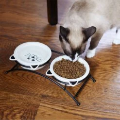 Frisco Cat Face Non-skid Elevated Double Ceramic Cat Bowl 8 Frisco Cat Face Non-skid Elevated Double Ceramic Cat Bowl -Pet Cat Supplies Store 256113 PT2. AC SS1800 V1616522604