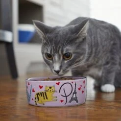 Frisco Paris Non-skid Ceramic Cat Dish 8 Frisco Paris Non-skid Ceramic Cat Dish -Pet Cat Supplies Store 256117 PT2. AC SS1800 V1615311397