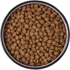 Frisco Paris Non-skid Ceramic Cat Dish 11 Frisco Paris Non-skid Ceramic Cat Dish -Pet Cat Supplies Store 256117 PT5. AC SS1800 V1615311392