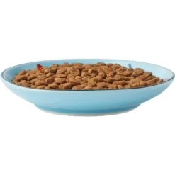 Frisco New York Non-skid Ceramic Cat Dish 12 Frisco New York Non-skid Ceramic Cat Dish -Pet Cat Supplies Store 256119 PT5. AC SS1800 V1618494742