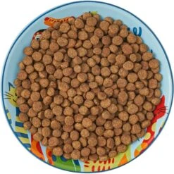 Frisco New York Non-skid Ceramic Cat Dish 13 Frisco New York Non-skid Ceramic Cat Dish -Pet Cat Supplies Store 256119 PT6. AC SS1800 V1617196905