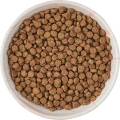 Frisco Marble Design Non-skid Ceramic Cat Bowl 10 Frisco Marble Design Non-skid Ceramic Cat Bowl -Pet Cat Supplies Store 256125 PT5. AC SS1800 V1615311382