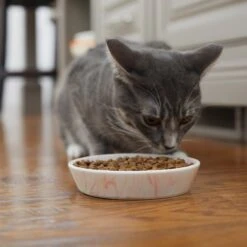 Frisco Marble Design Non-skid Ceramic Cat Bowl 11 Frisco Marble Design Non-skid Ceramic Cat Bowl -Pet Cat Supplies Store 256125 PT6. AC SS1800 V1617037714