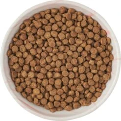 Frisco Marble Design Non-skid Ceramic Cat Dish -Pet Cat Supplies Store 256127 PT5. AC SS1800 V1615321285