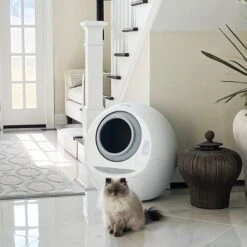 Casa Leo Leo's Loo Covered Automatic Self-Cleaning Cat Litter Box -Pet Cat Supplies Store 257260 PT8. AC SS1800 V1651423882