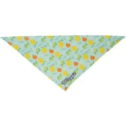 Frisco Citrus Personalized Dog & Cat Bandana -Pet Cat Supplies Store 258758 PT3. AC SS1800 V1619559797