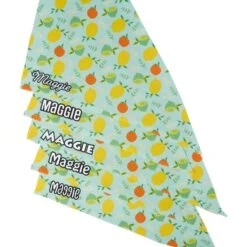 Frisco Citrus Personalized Dog & Cat Bandana -Pet Cat Supplies Store 258758 PT4. AC SS1800 V1619558899