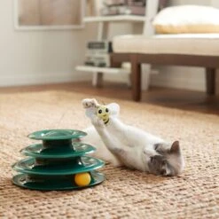 Goody Box Kitten Toys & Treats -Pet Cat Supplies Store 258991 PT5. AC SS1800 V1657656402