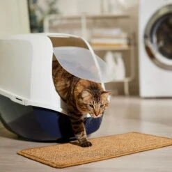 Frisco Sisal Mat -Pet Cat Supplies Store 259250 PT3. AC SS1800 V1675279993