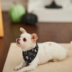 Frisco Glow In The Dark Mystical Print Dog & Cat Bandana -Pet Cat Supplies Store 261218 PT5. AC SS1800 V1633057869