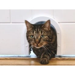 Cathole ECO Cat Door, White -Pet Cat Supplies Store 261768 PT2. AC SS1800 V1611090422