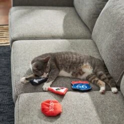 Frisco Road Trip Traffic Signs Plush Cat Toy With Catnip -Pet Cat Supplies Store 262024 PT3. AC SS1800 V1618598335