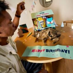 Goody Box Birthday Cat Toys, Treats & Collar -Pet Cat Supplies Store 264415 PT2. AC SS1800 V1678387796