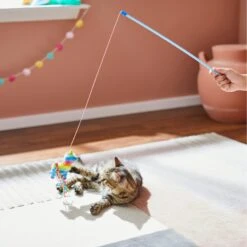 Frisco Pinata Teaser Wand Cat Toy With Catnip -Pet Cat Supplies Store 264446 PT3. AC SS1800 V1618948636