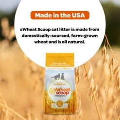 SWheat Scoop Easy Maintenance Clumping Wheat-Corn Cat Litter 16 SWheat Scoop Easy Maintenance Clumping Wheat-Corn Cat Litter -Pet Cat Supplies Store 264463 PT7. AC SS1800 V1667517555