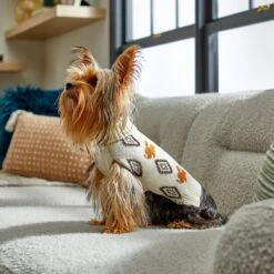 Disney Mickey Mouse Southwest Patterned Dog & Cat Sweater -Pet Cat Supplies Store 264577 PT8. AC SS1800 V1646178494