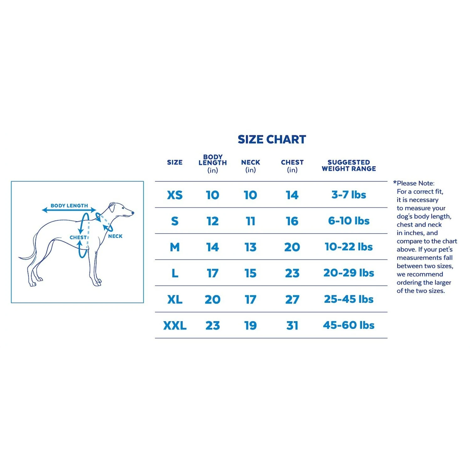 Disney Mickey Mouse Rugby Dog & Cat Polo 2 Disney Mickey Mouse Rugby Dog & Cat Polo - Image 2