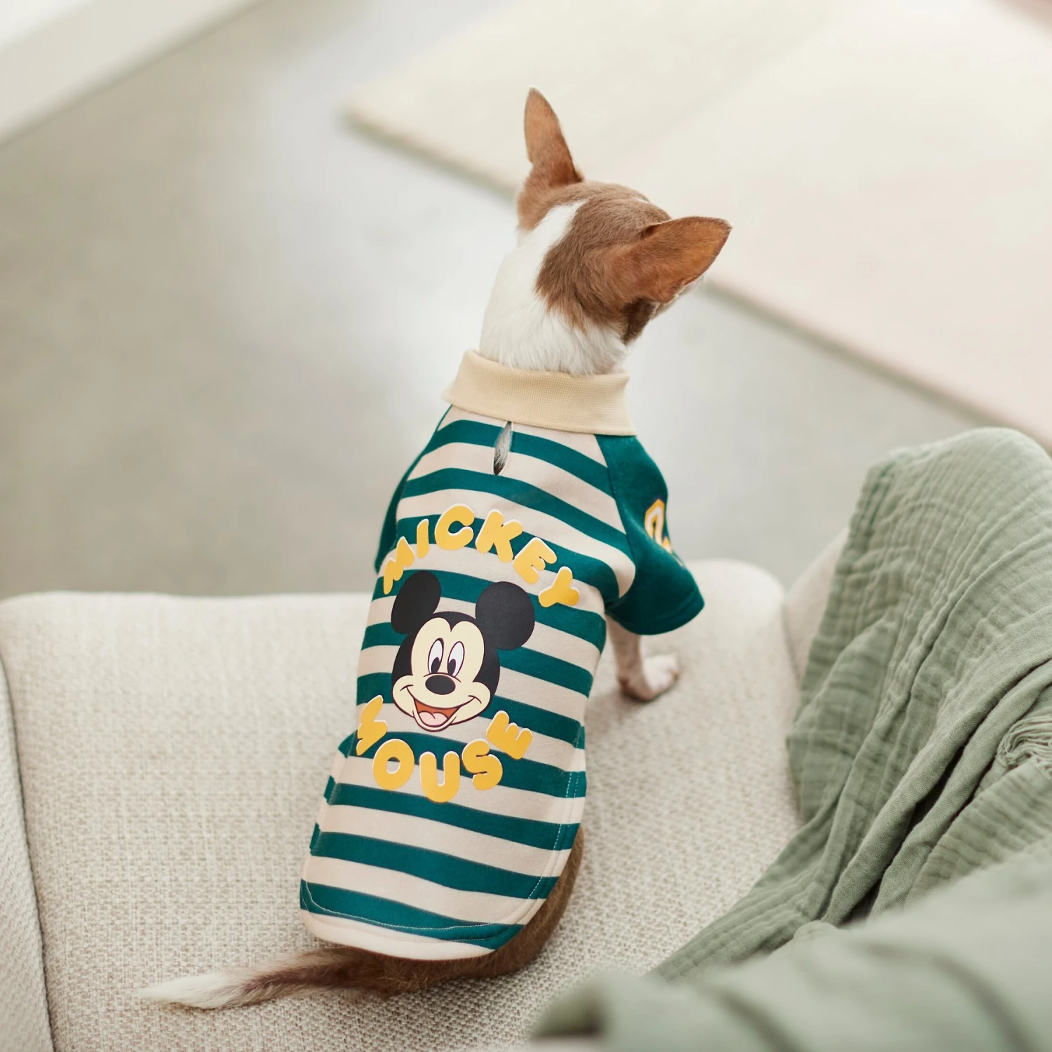 Disney Mickey Mouse Rugby Dog & Cat Polo 8 Disney Mickey Mouse Rugby Dog & Cat Polo - Image 8