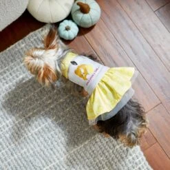 Disney Belle "Once Upon A Time" Dog & Cat Sweatshirt Dress 16 Disney Belle "Once Upon A Time" Dog & Cat Sweatshirt Dress -Pet Cat Supplies Store 264600 PT7. AC SS1800 V1637654207