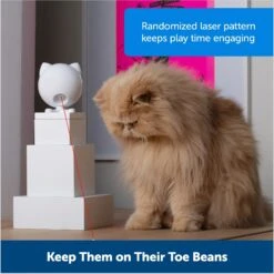 PetSafe Dancing Dot Laser Cat Toy -Pet Cat Supplies Store 266211 PT5. AC SS1800 V1676318551