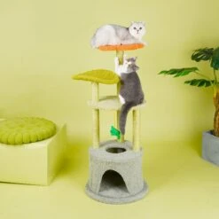ZEZE Adora Flower 43-in Carpet Cat Tree -Pet Cat Supplies Store 266590 PT2. AC SS1800 V1667353892