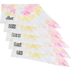 Frisco Tiedye Personalized Dog & Cat Bandana 13 Frisco Tiedye Personalized Dog & Cat Bandana -Pet Cat Supplies Store 267482 PT4. AC SS1800 V1632416499