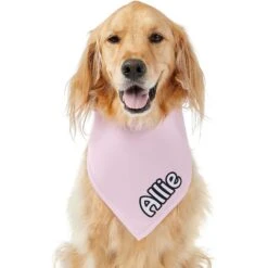 Frisco Solid Pastel Personalized Dog & Cat Bandana -Pet Cat Supplies Store 267514 PT6. AC SS1800 V1632417387