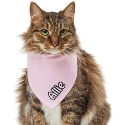 Frisco Solid Pastel Personalized Dog & Cat Bandana -Pet Cat Supplies Store 267514 PT7. AC SS1800 V1632434472