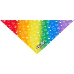 Frisco Rainbow Hearts Personalized Dog & Cat Bandana -Pet Cat Supplies Store 267539 PT2. AC SS1800 V1632687993