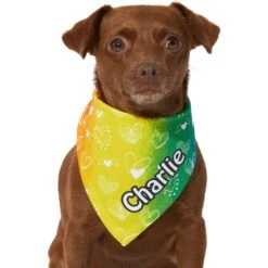 Frisco Rainbow Hearts Personalized Dog & Cat Bandana -Pet Cat Supplies Store 267539 PT5. AC SS1800 V1632432071