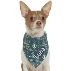 Frisco Boho Geo Personalized Dog & Cat Bandana -Pet Cat Supplies Store 267559 PT7. AC SS1800 V1623164863