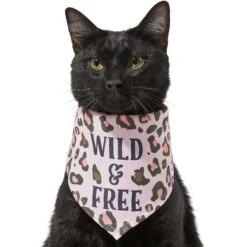 Frisco Pink Leopard Dog & Cat Bandana -Pet Cat Supplies Store 267922 PT3. AC SS1800 V1637687868