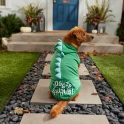 Frisco Doggiesaurus Dog & Cat Hoodie, Green -Pet Cat Supplies Store 268033 PT6. AC SS1800 V1637671011
