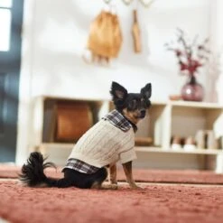 Frisco Cream Cable Knit Dog & Cat Sweater, White/Red Plaid -Pet Cat Supplies Store 268057 PT8. AC SS1800 V1629766069