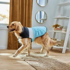 Frisco Mediumweight Colorblock Insulated Dog & Cat Puffer Coat With Pocket, Blue -Pet Cat Supplies Store 268311 PT8. AC SS1800 V1629766581